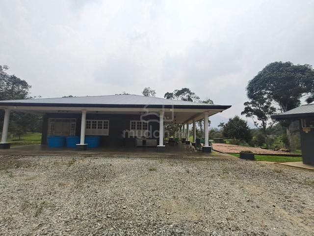 Mixed zone and Native Agriculture Land with Mature Durian Farm
